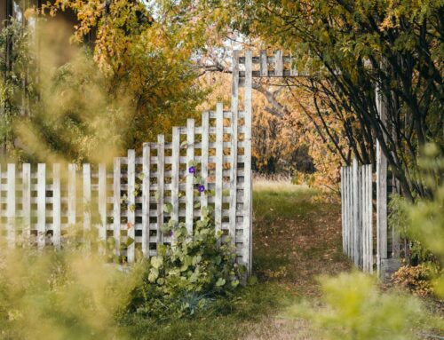 The Art of Combining Functionality and Aesthetics in Garden Fencing and Gates