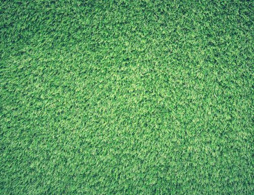 Transform Your Outdoor Space with Low-Maintenance Artificial Grass