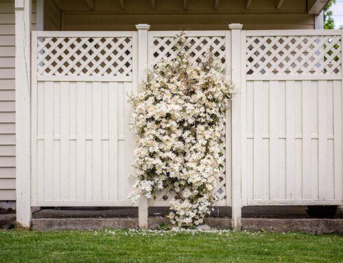 Improve the Aesthetics and Functionality of Outdoor Spaces with Bespoke Fencing and Gates