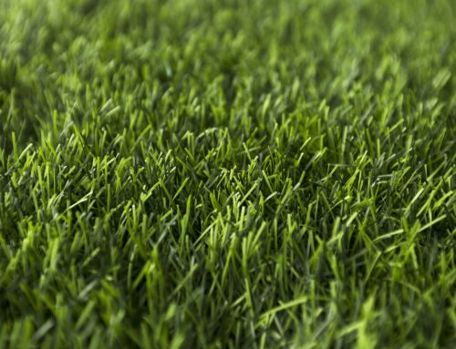 Best Artificial Grass for Small Gardens Guide