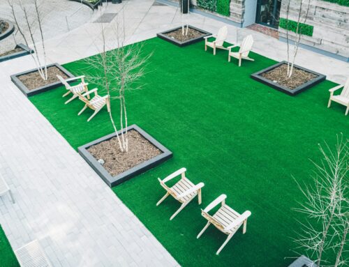Artificial Grass vs Natural Grass: Which is Better?