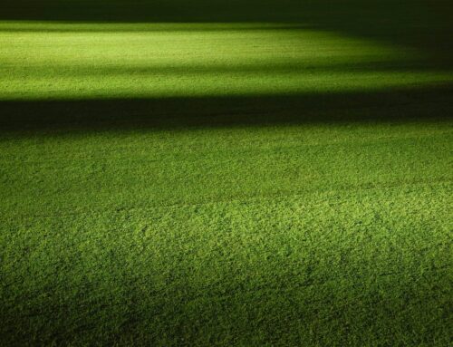 How to Choose the Best Artificial Grass for Your Garden